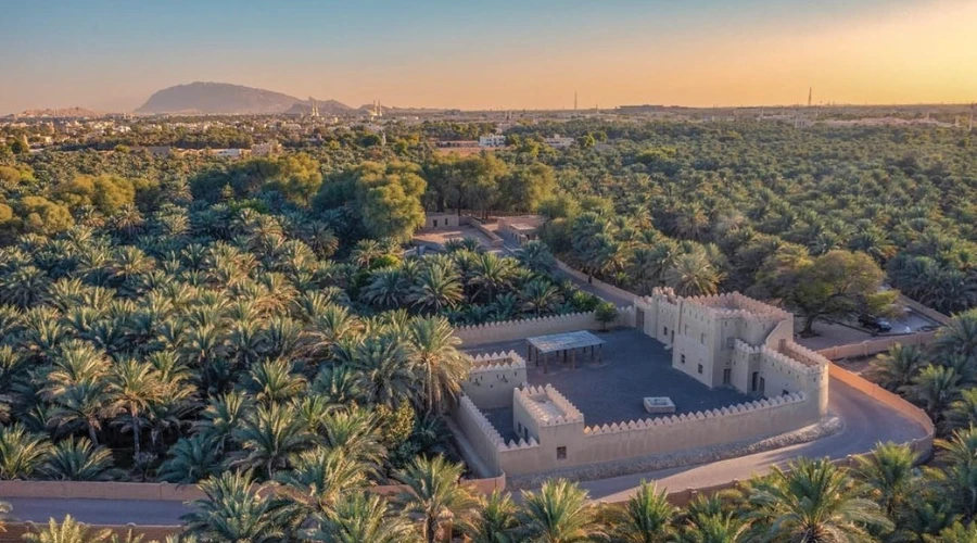 Aerial view of historic mudbrick fort surrounded by lush date palm groves in Al Ain Oasis