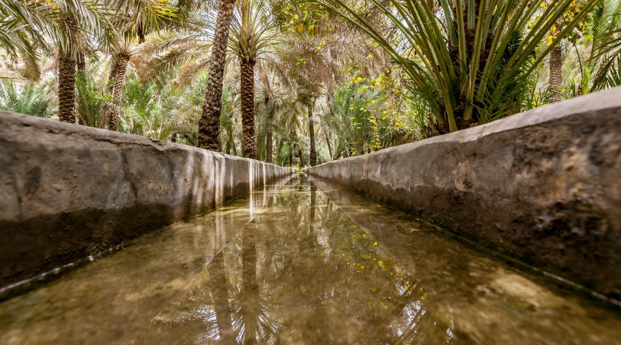 Close-up view of the flowing ancient Falaj water irrigation canal in Al Ain Oasis date palm grove