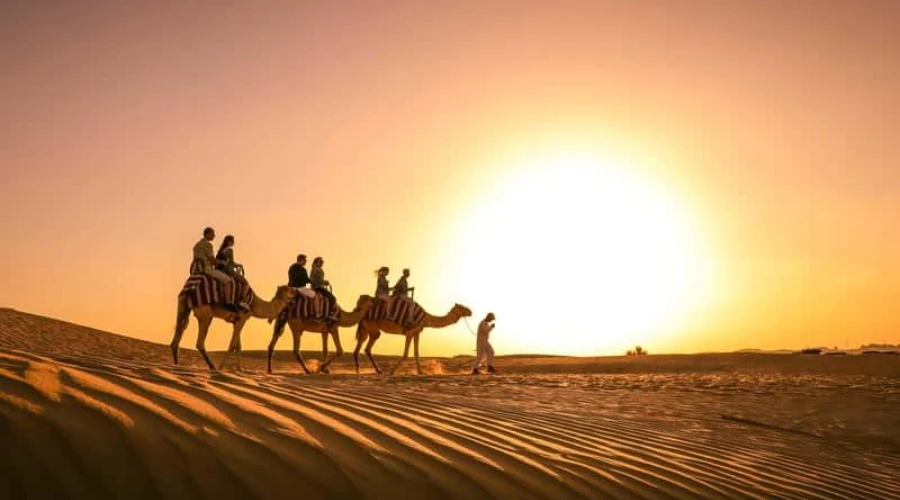 dubai-desert-safari-camel-ride-sunset-tour