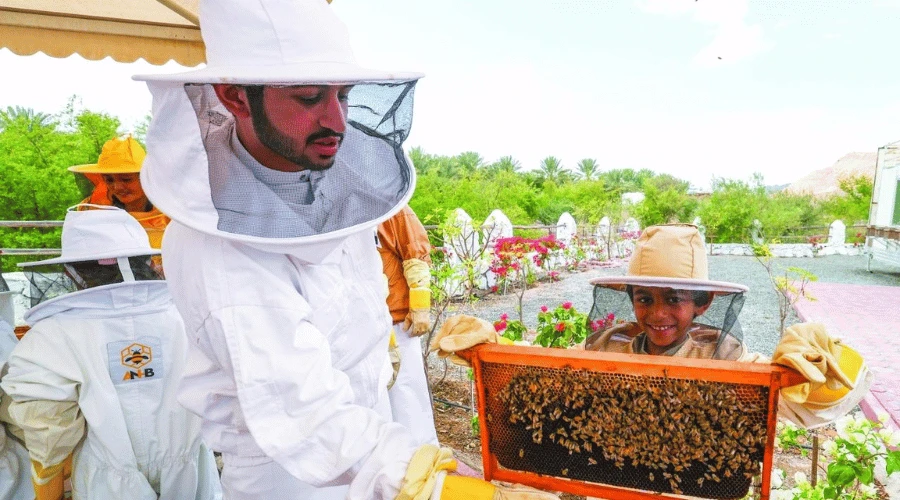 hatta-honeybee-garden-discovery-tour