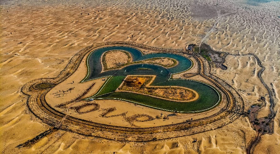 love-dubai-desert
