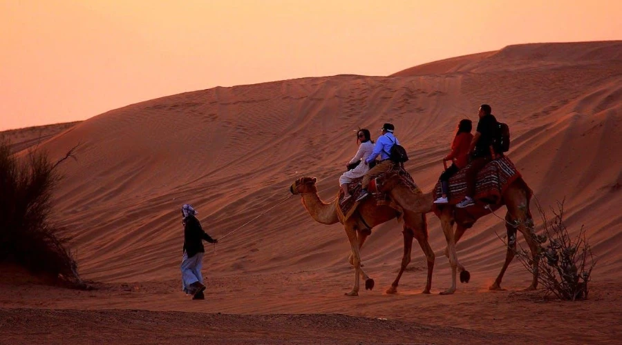 overnight-desert-safari-camel-ride-sunset-tour