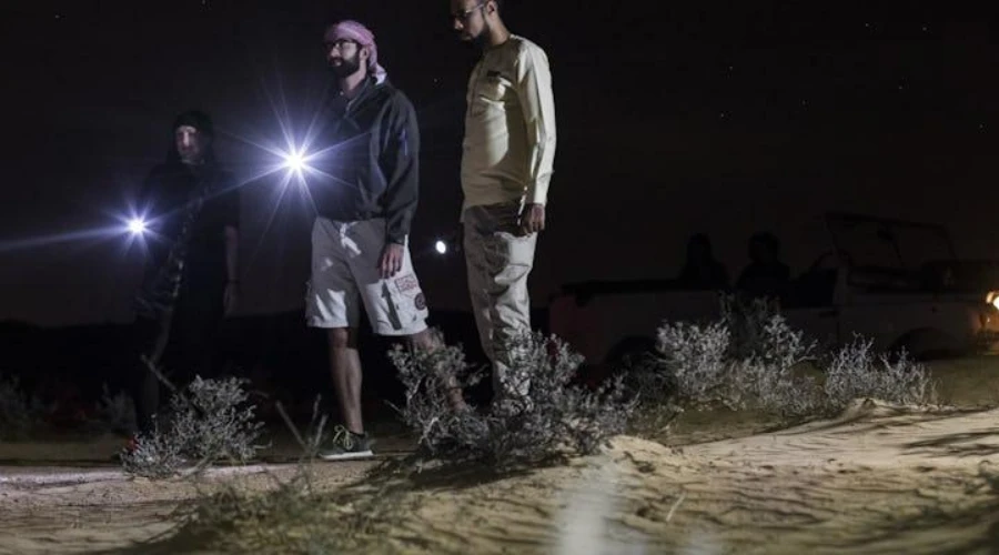 overnight-desert-safari-guided-night-walk-dunes