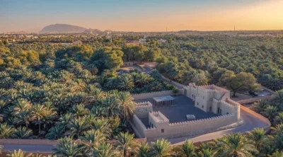 Aerial view of historic mudbrick fort surrounded by lush date palm groves in Al Ain Oasis