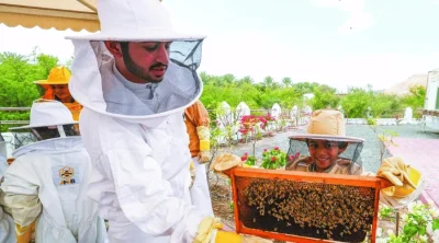 hatta-honeybee-garden-discovery-tour
