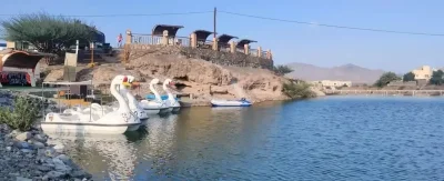 Duck-shaped boats floating in the river during family-friendly Hatta tour