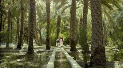 Visitors walking along the ancient Falaj irrigation canal under date palm canopy in Al Ain Oasis