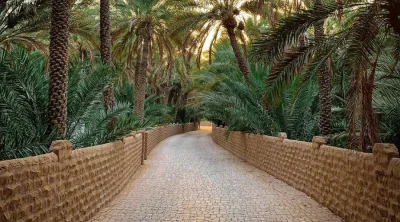 Curved stone walkway bordered by mudbrick walls and lush date palms in Al Ain Oasis